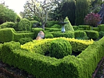 landscaping with boxwood hedges