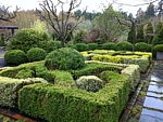 landscape boxwood garden, knotword garden